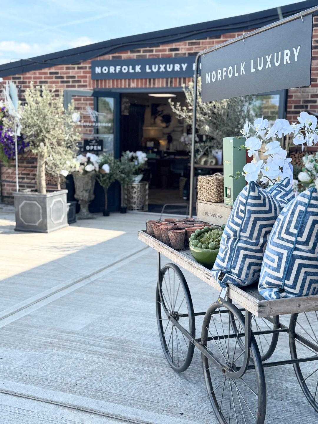 5 Top Reasons to Visit Us!