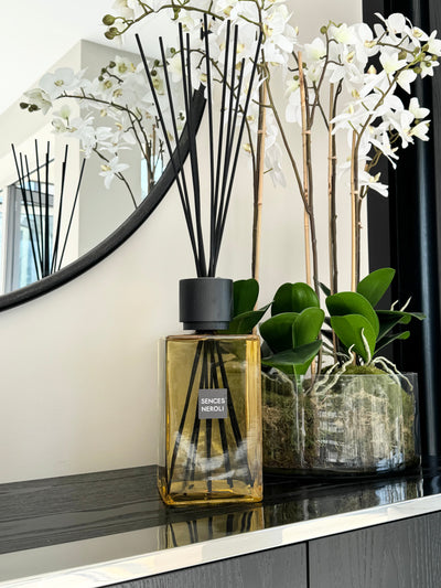Diffuser Tips and Tricks!