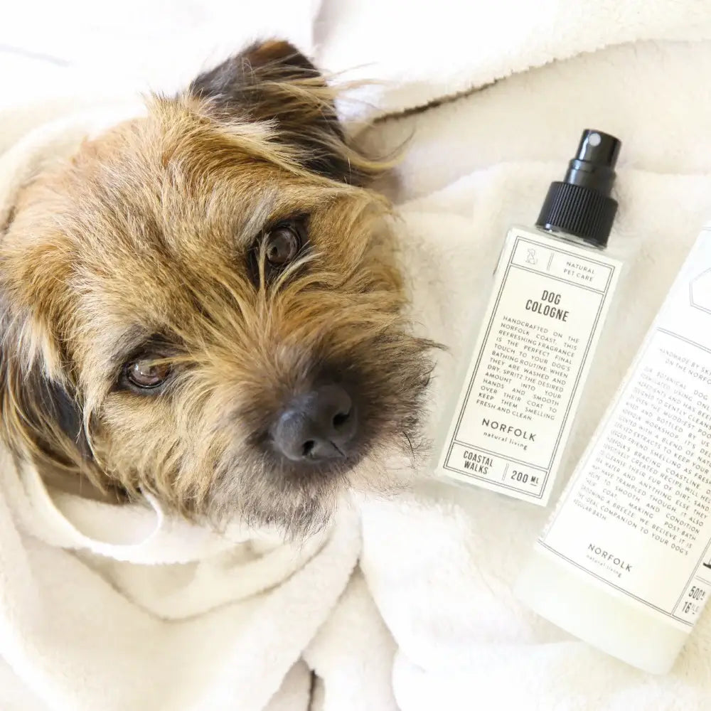 Pet Care