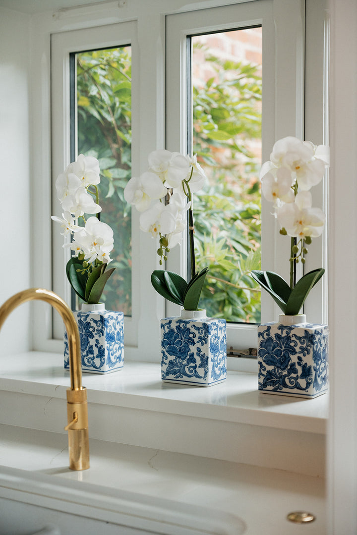 Phalaenopsis Orchid in Chinoiserie Vase