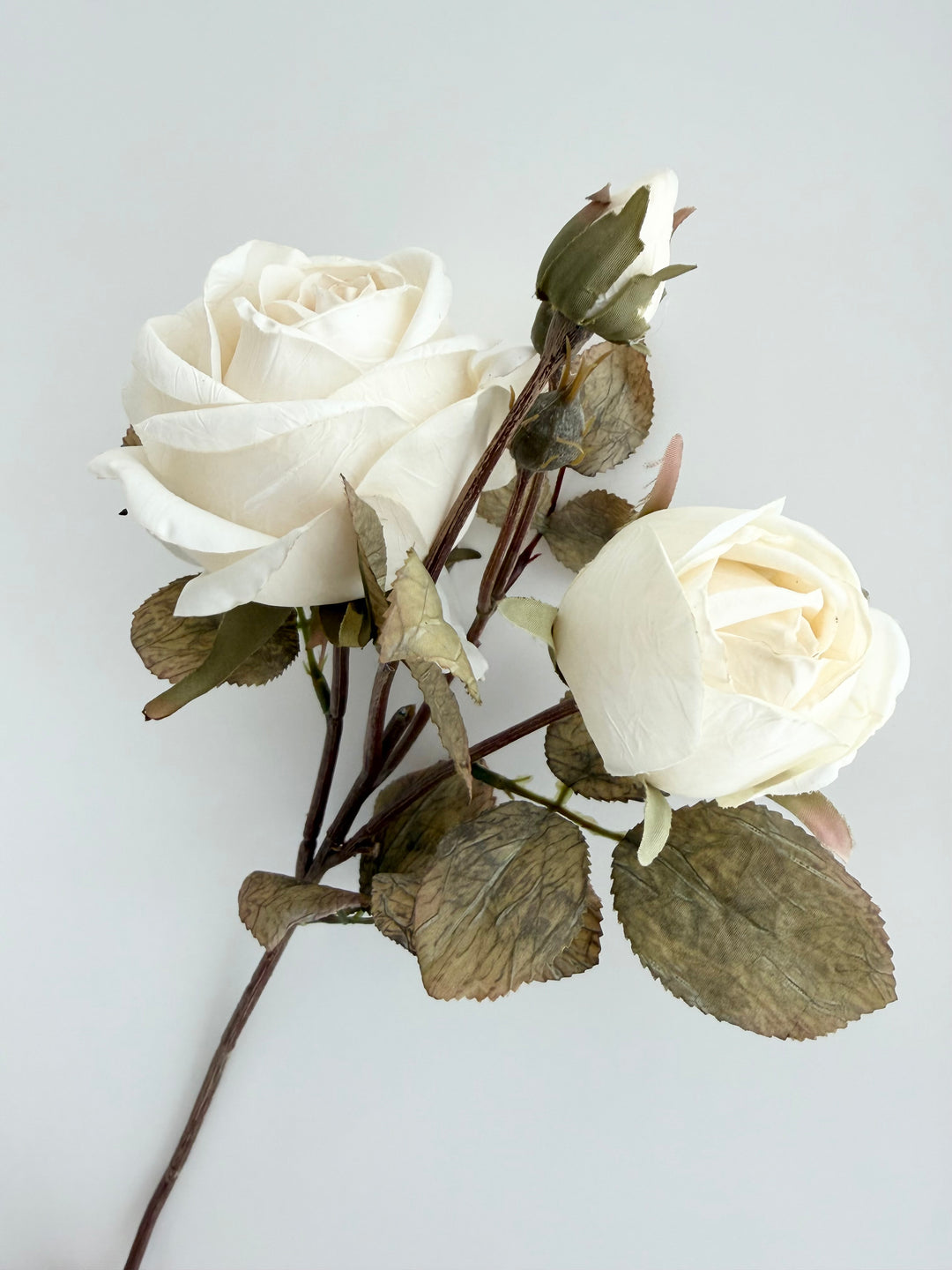 Dried Faux Ivory Rose Spray
