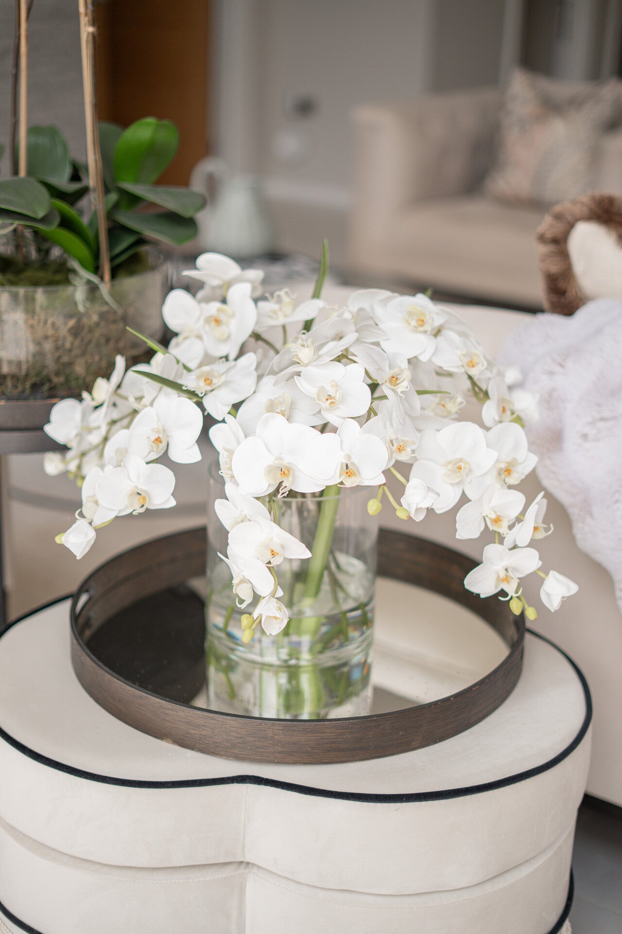 White Phalaenopsis Orchid In Glass Vase