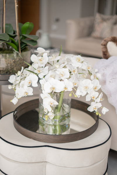 White Phalaenopsis Orchid In Glass Vase