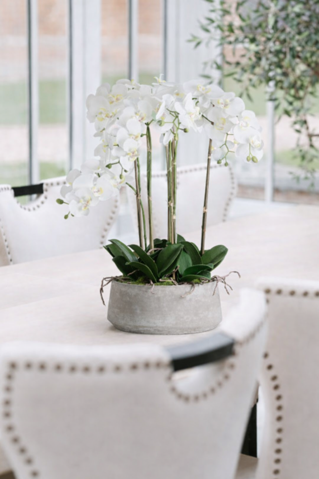 Luxury Large White Orchid In Stone Pot