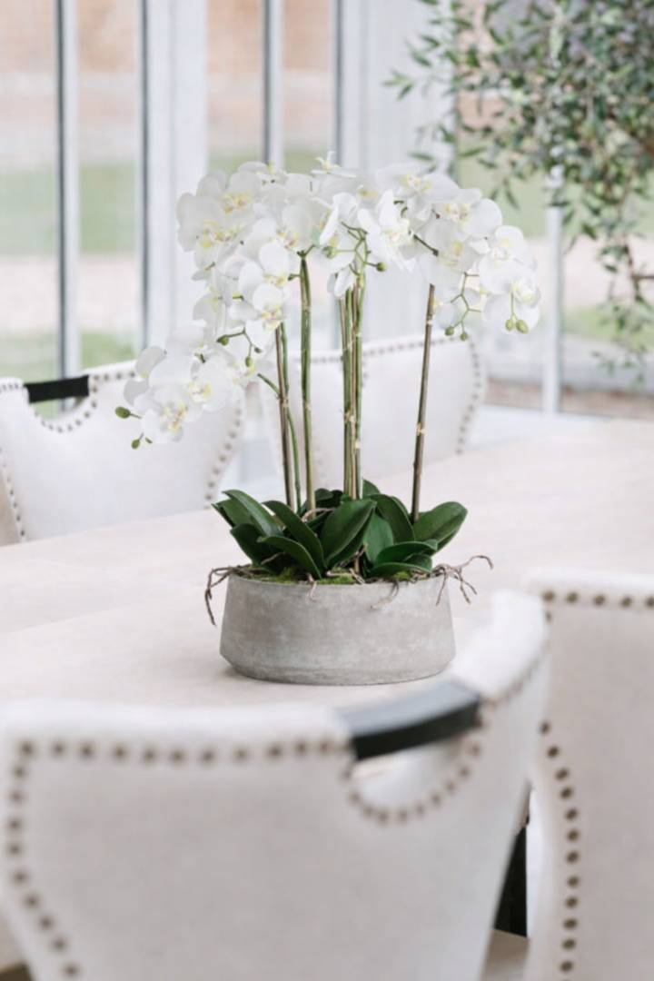 Luxury Large White Orchid In Stone Pot