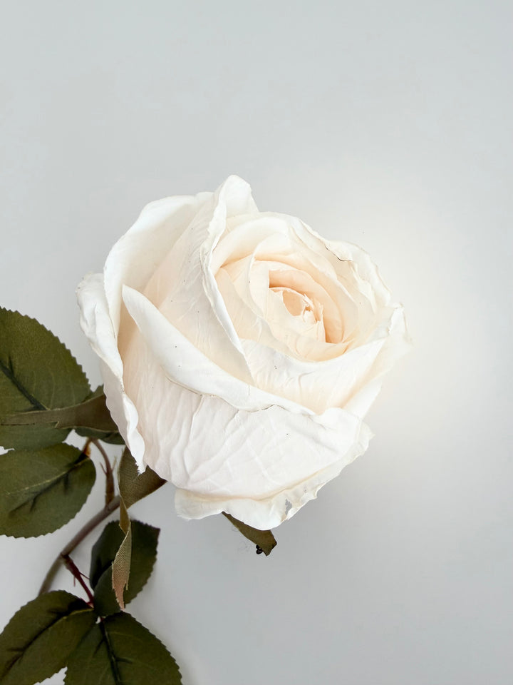 Dried Faux Cream Rose Stem