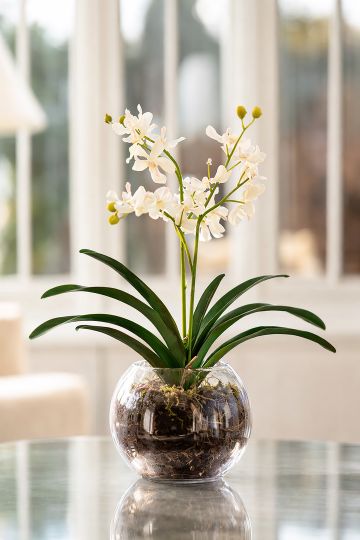White Orchid with Moss in Glass Vase