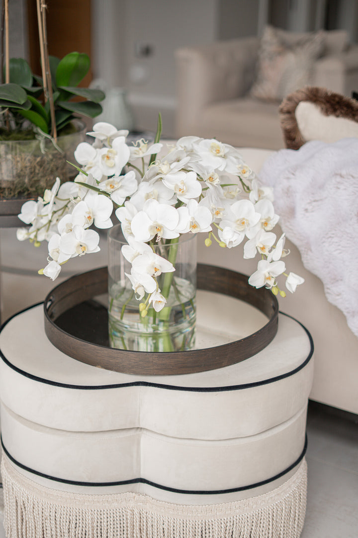 White Phalaenopsis Orchid In Glass Vase