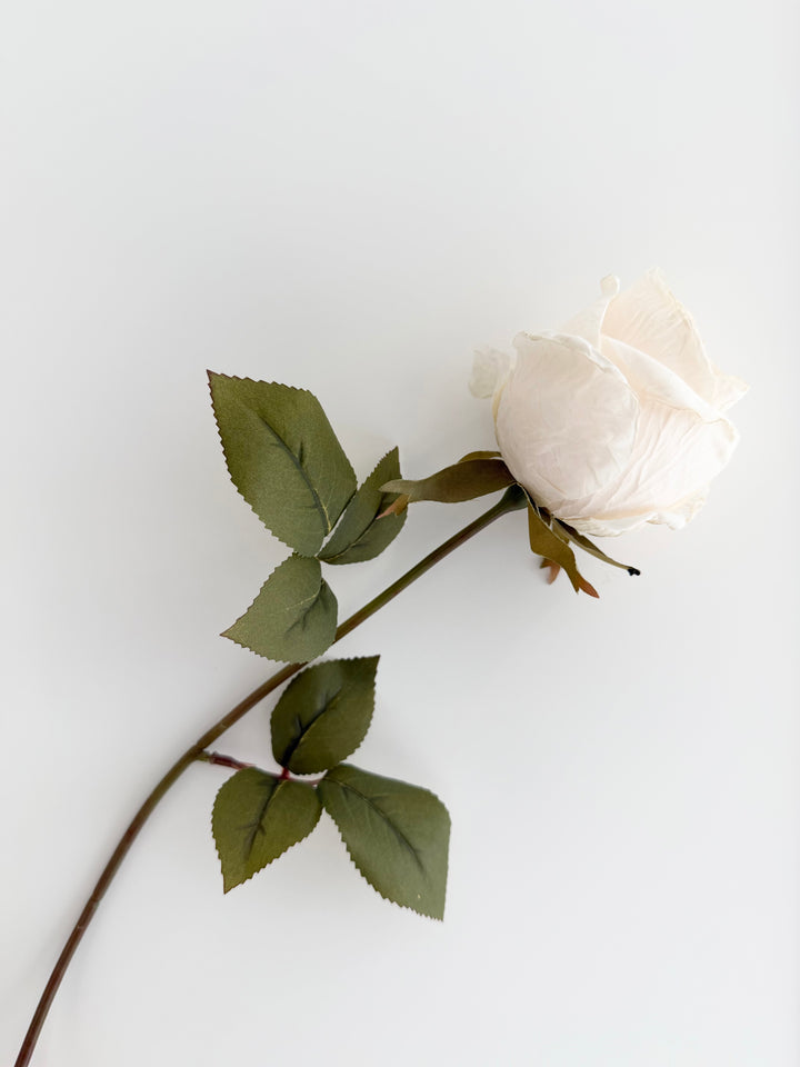 Dried Faux Cream Rose Stem