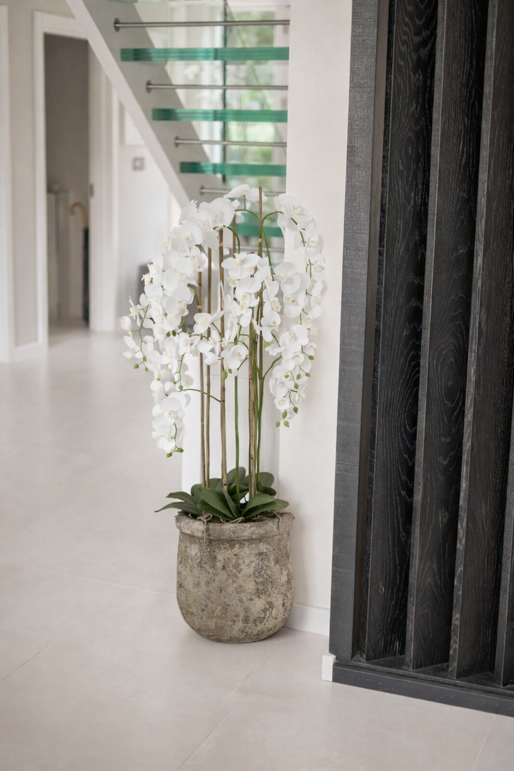 Large White Orchid in Antique Stone Pot