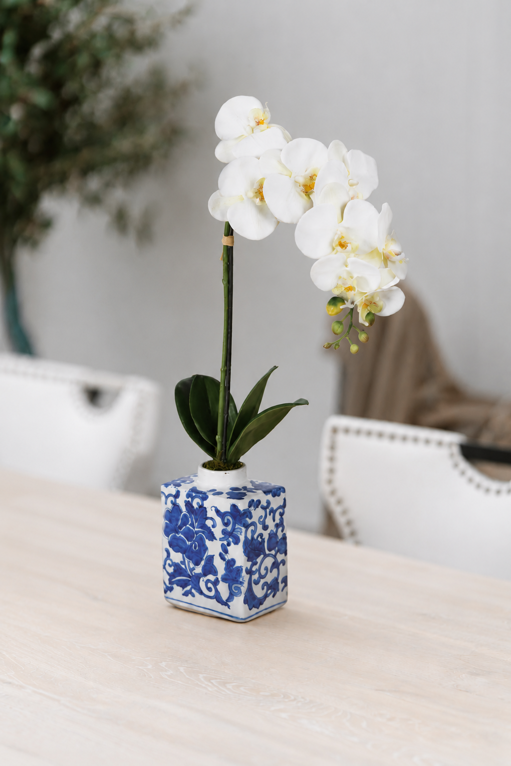 Phalaenopsis Orchid in Chinoiserie Vase