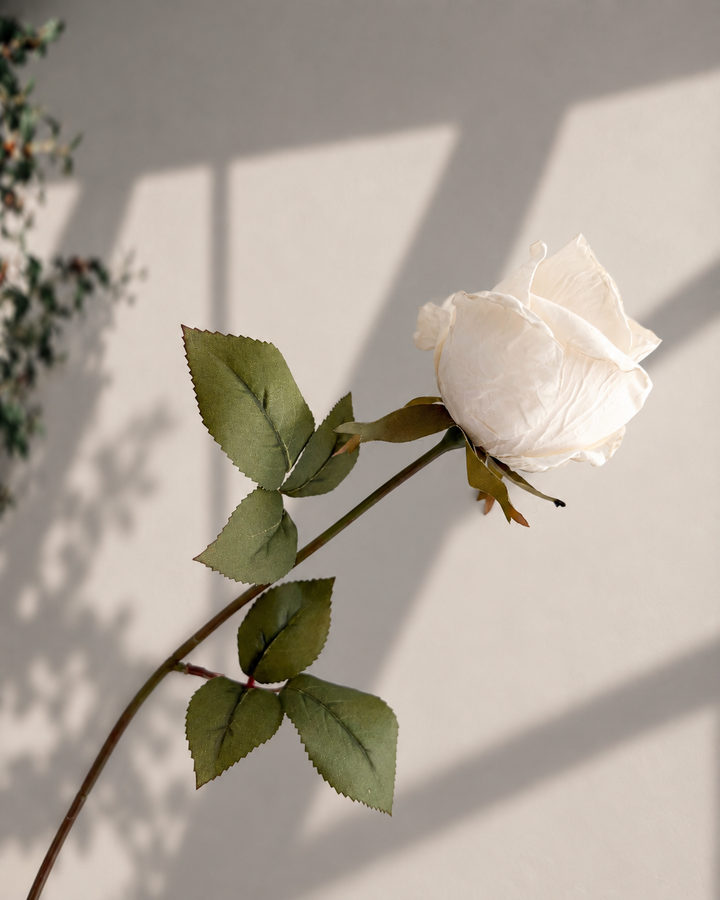 Dried Vintage Cream Rose Stem