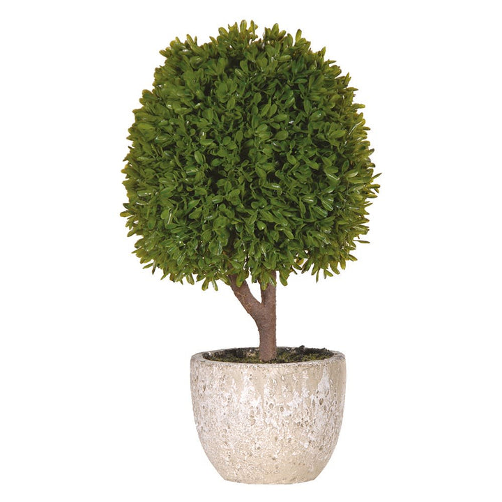 Green Miniature Boxwood Ball in Stone-look Pot