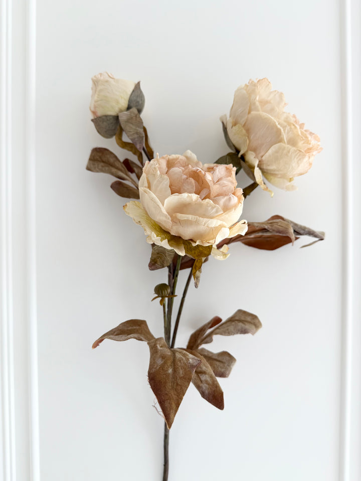 Dried Faux Ivory/Blush Peony Spray