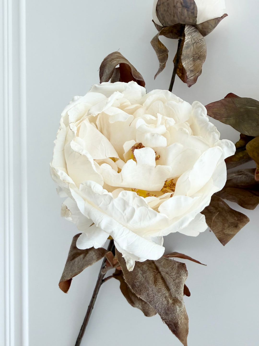 Dried Faux Ivory Peony