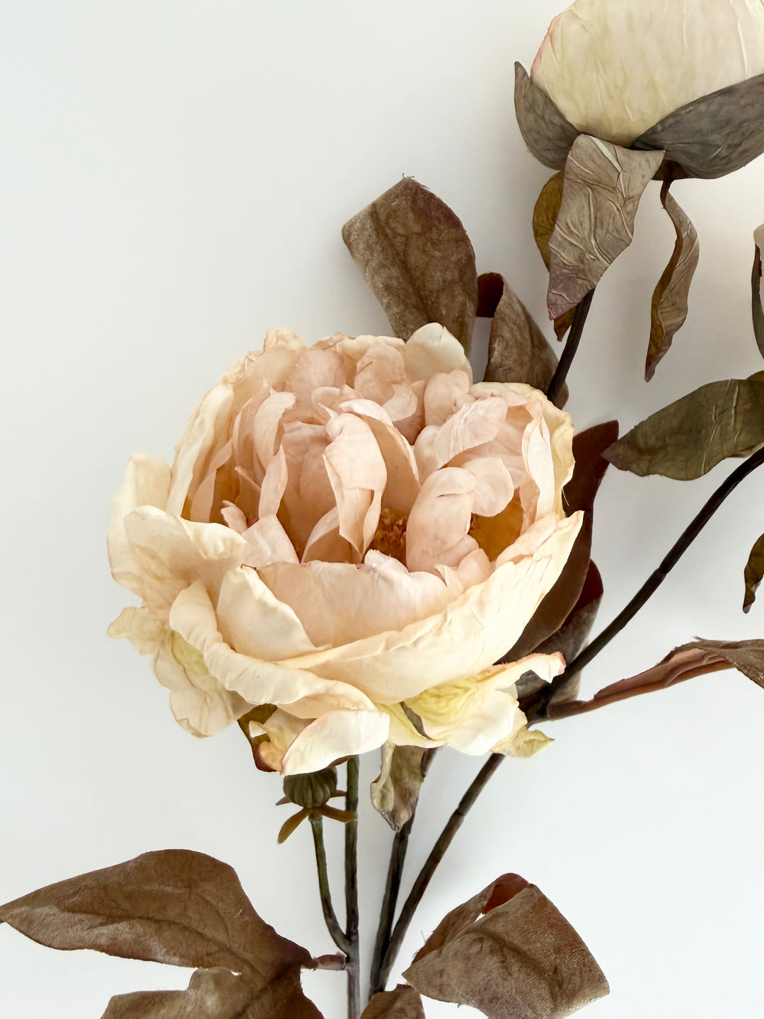 Dried Faux Ivory/Blush Peony Spray