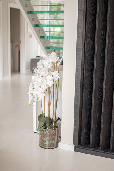 Large White Tall Orchid In Glass Pot