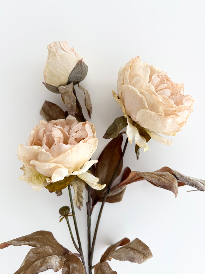 Dried Faux Ivory/Blush Peony Spray