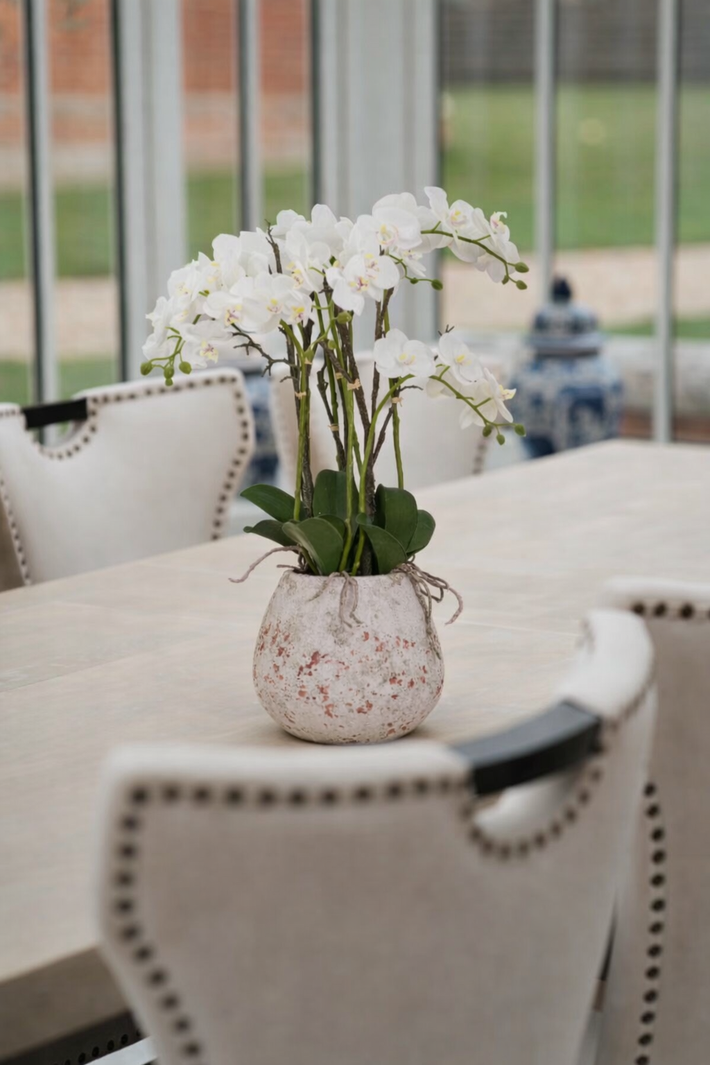 Large Stone Potted Orchid With Roots