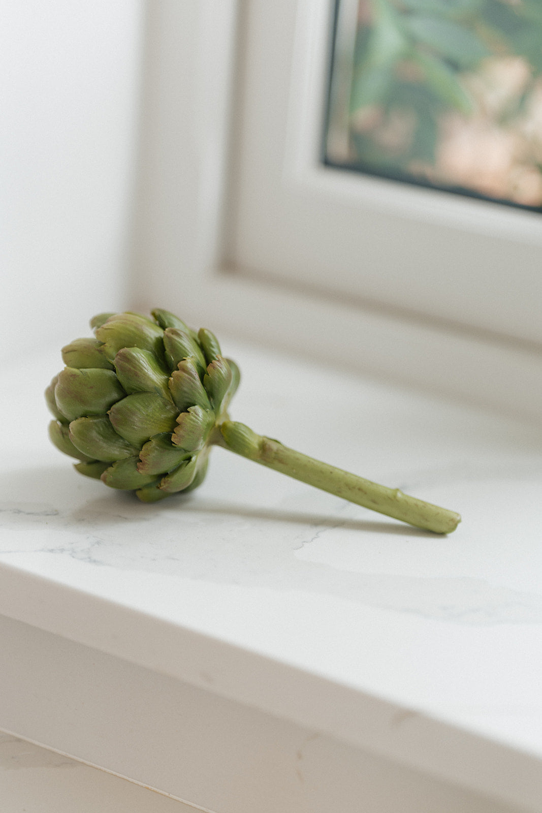 Artichoke Stem