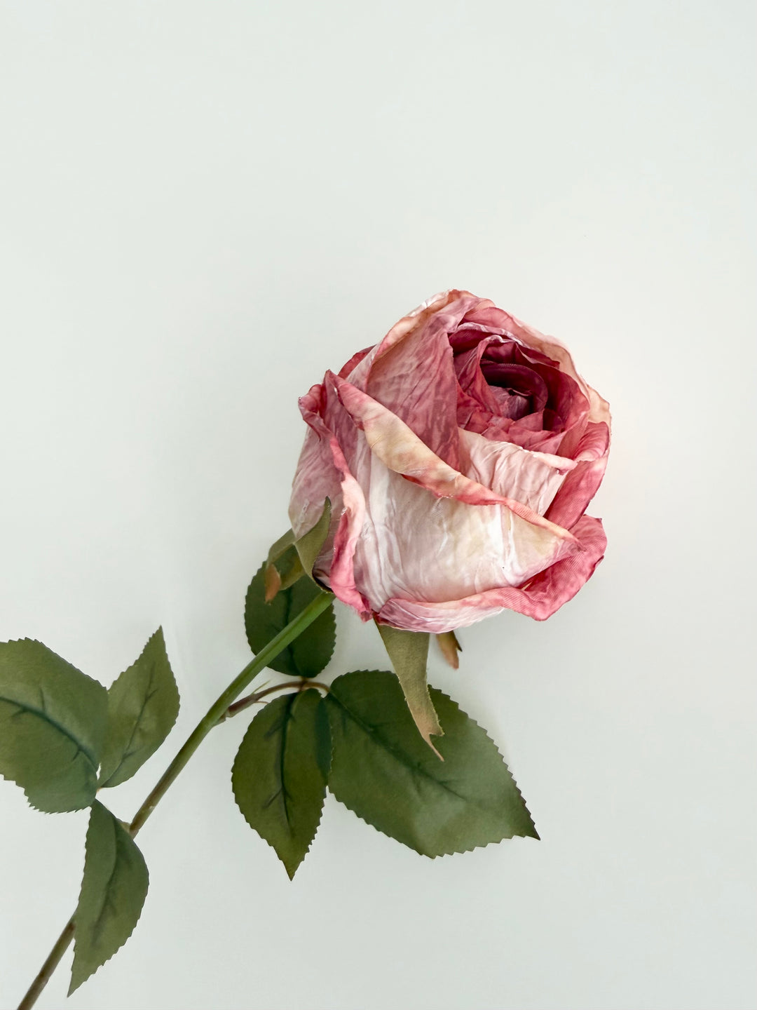 Dried Faux Blush Rose Stem