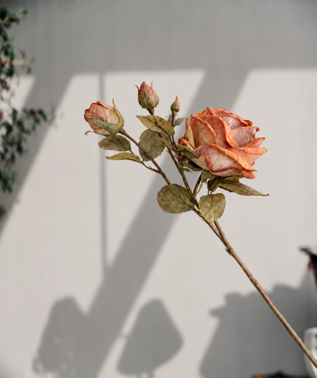 A single dried rose stem with two buds and a large withered peach-pink rose, photographed against a light gray wall with strong shadows.