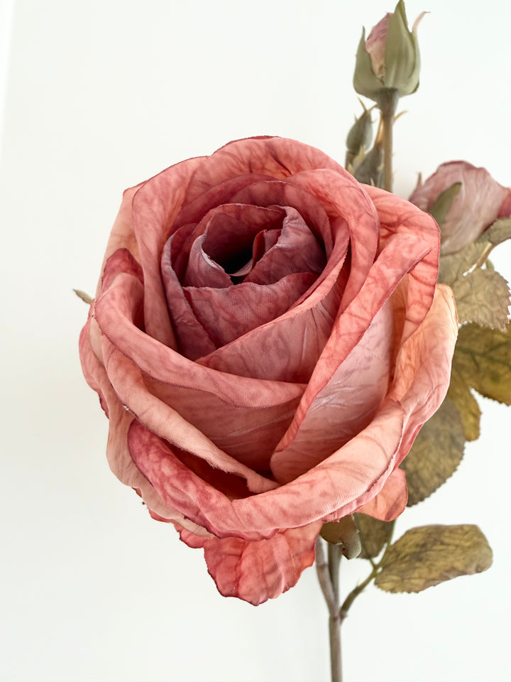 Dried Vintage Blush Rose Spray