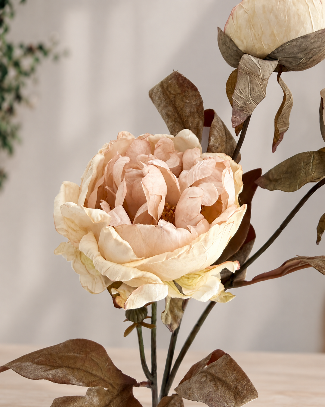 A dried artificial peony flower in a soft blush beige color with brown withered leaves and stems, shown against a neutral light gray background.