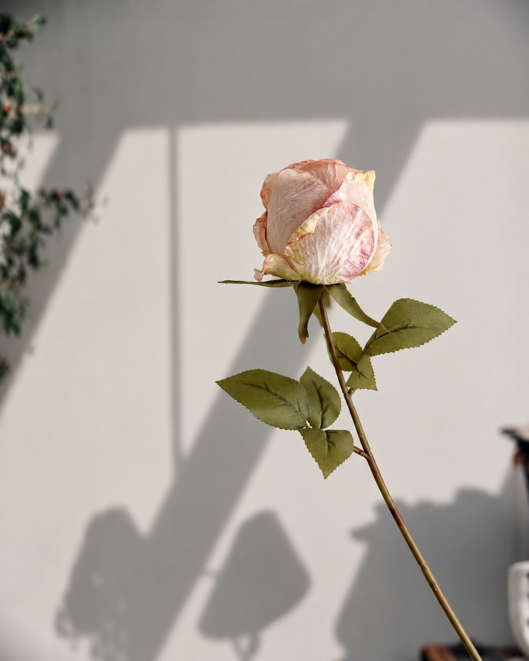 A single pale blush pink rose bud with green leaves on a long stem, photographed against a light gray wall with strong shadows.