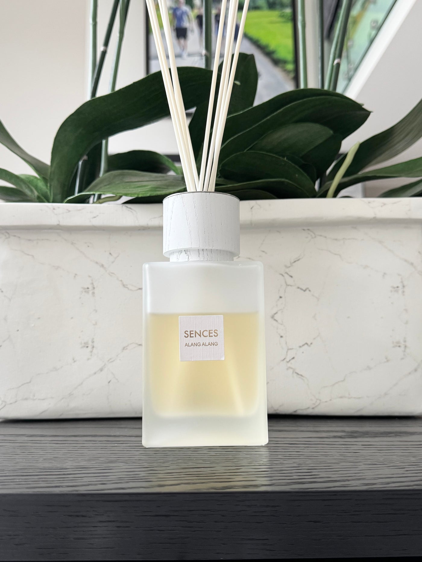 Sences White Alang Alang Large Reed Diffuser 500ml