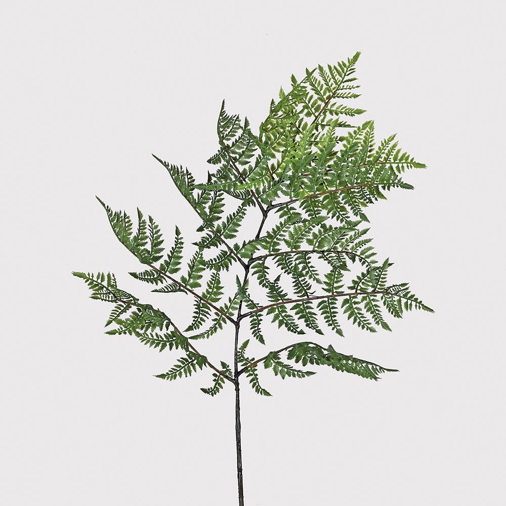 Artificial fern plant on a light gray background