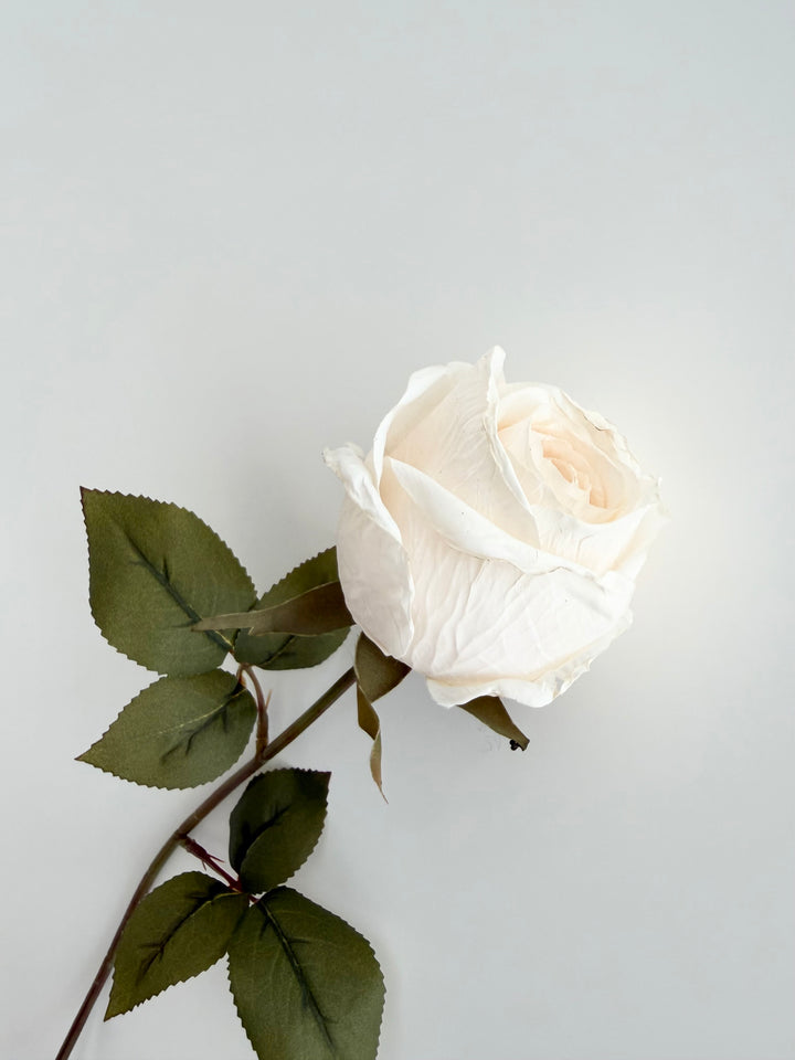 Dried Faux Cream Rose Stem