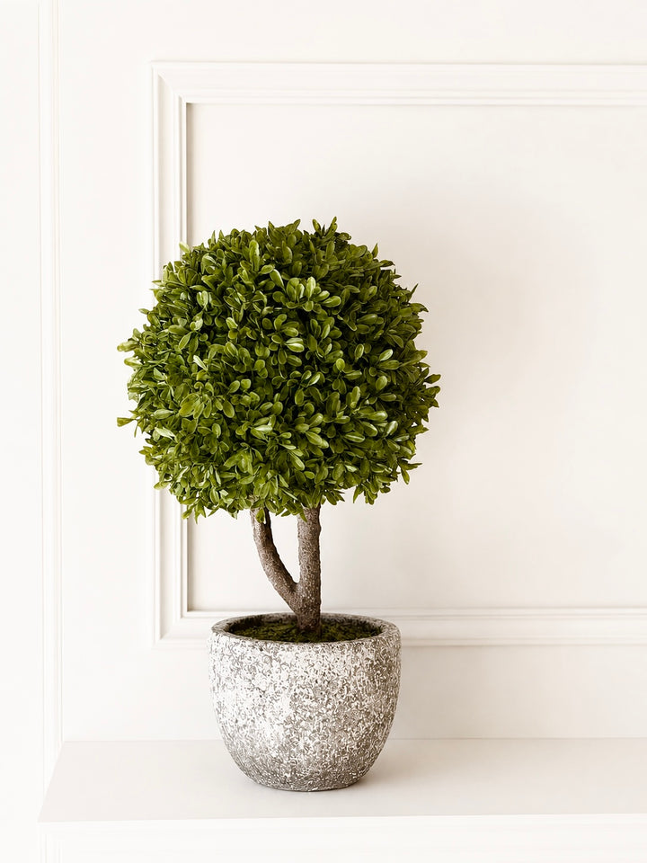 Green Miniature Boxwood Ball in Stone-look Pot