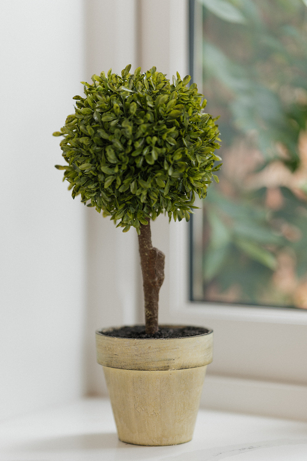 Green Miniature Boxwood Ball in Brown Pot