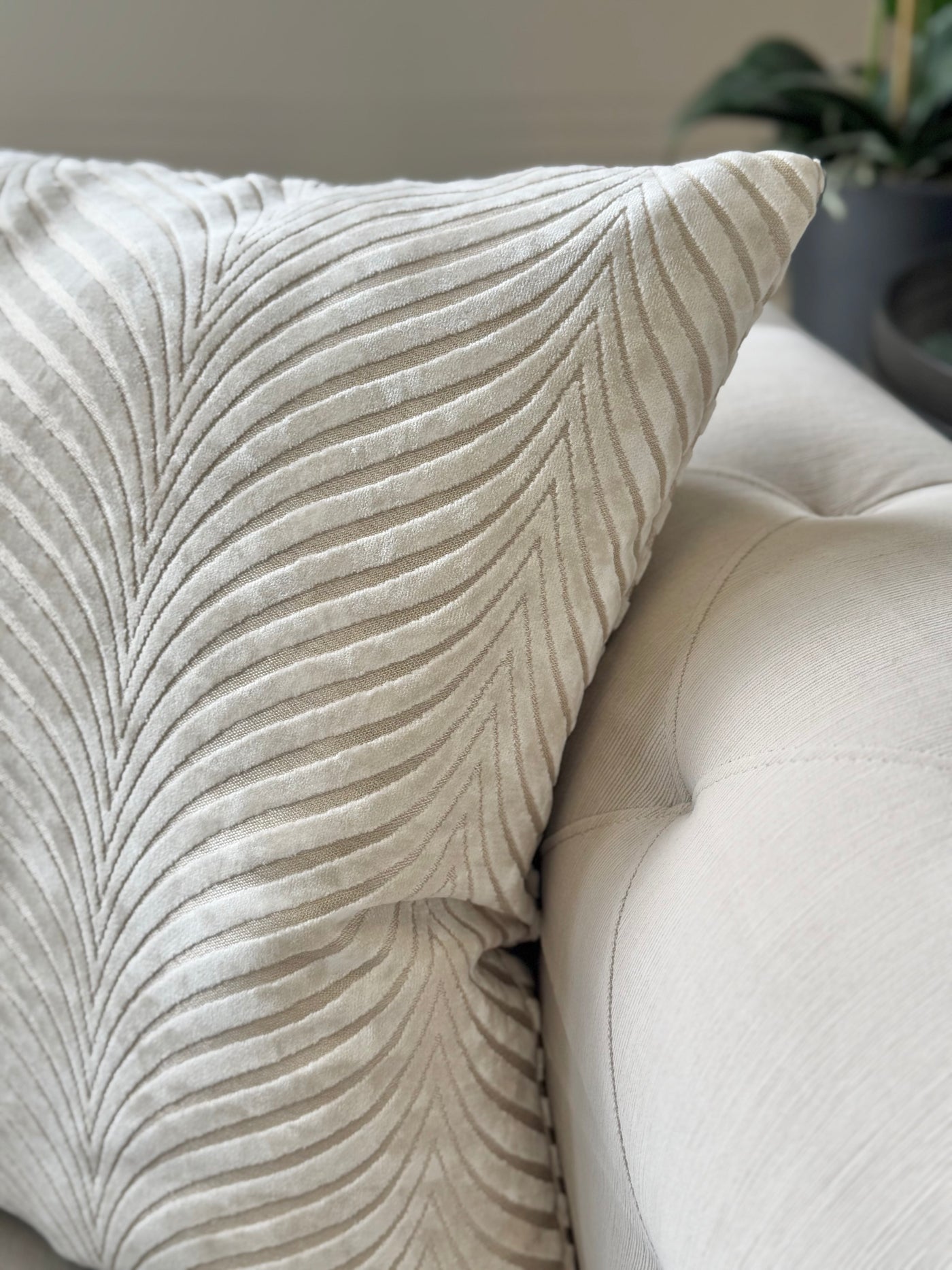 Ivory Cushion