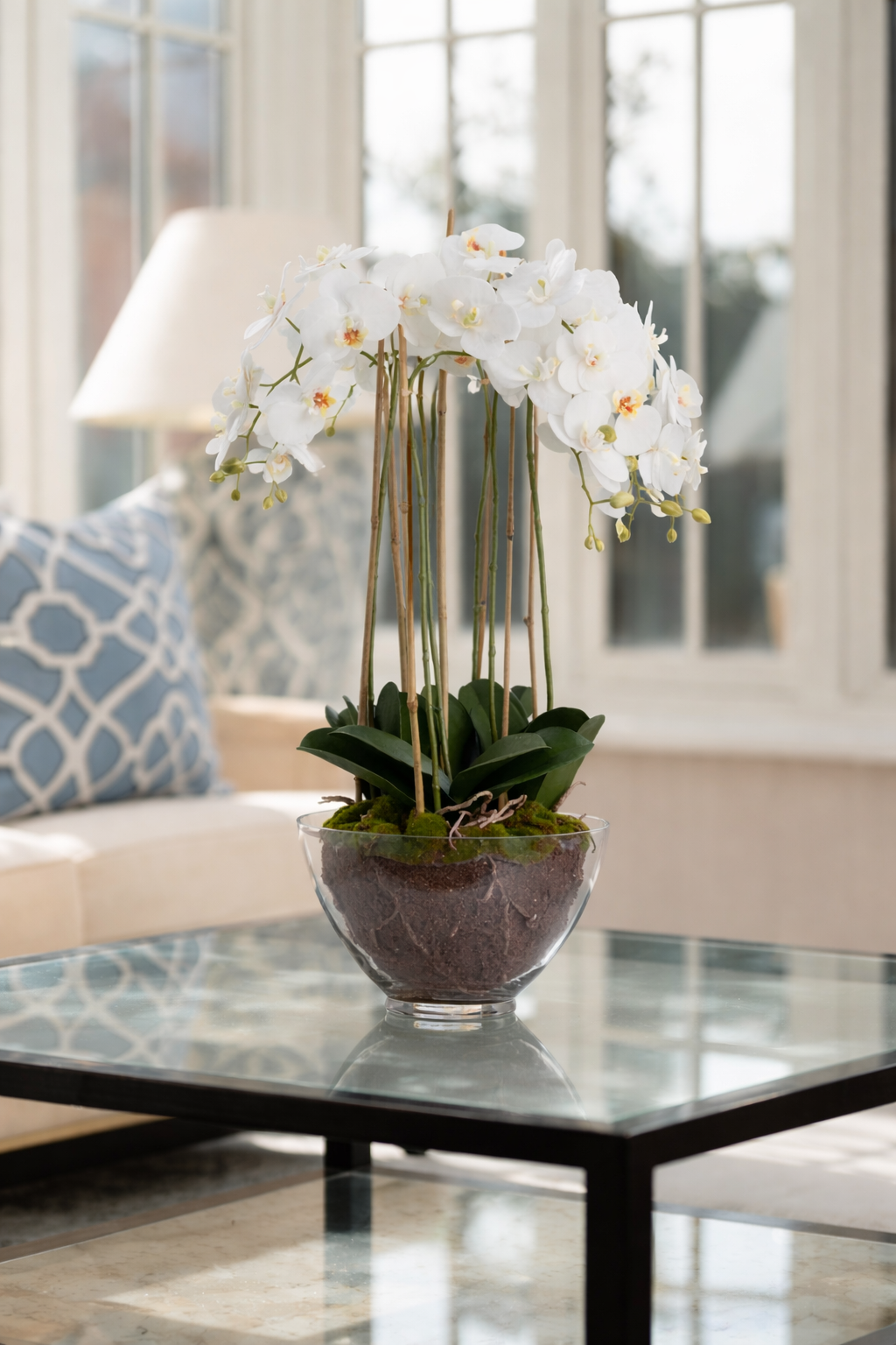 Large White Orchid In Glass Pot