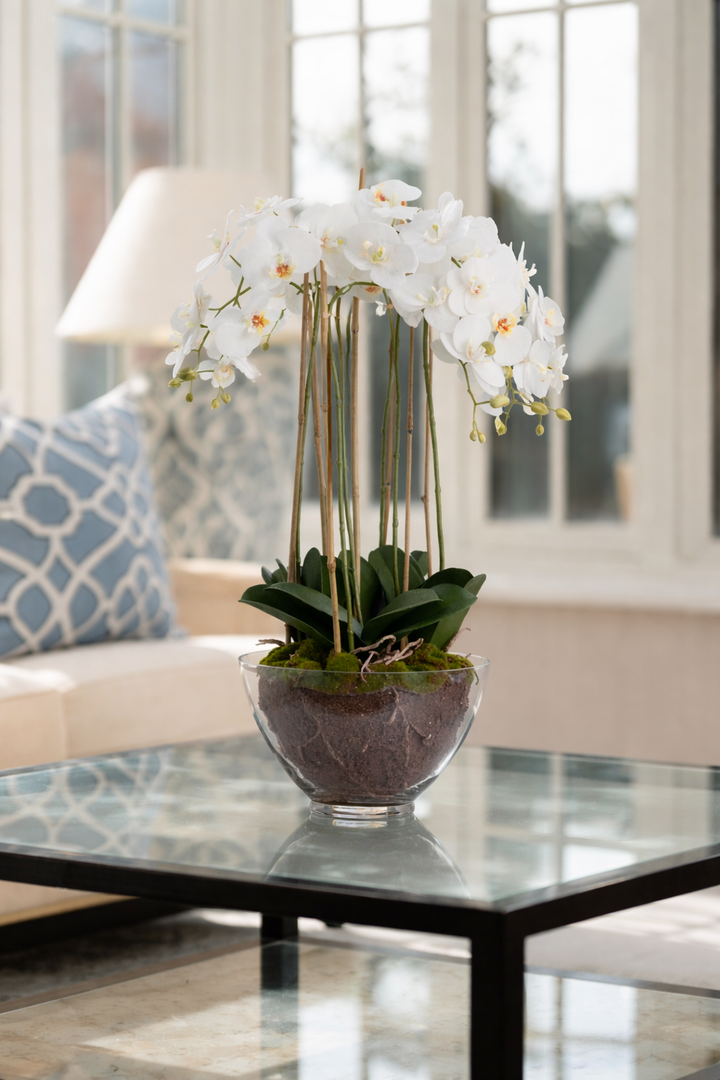 Large White Orchid In Glass Pot