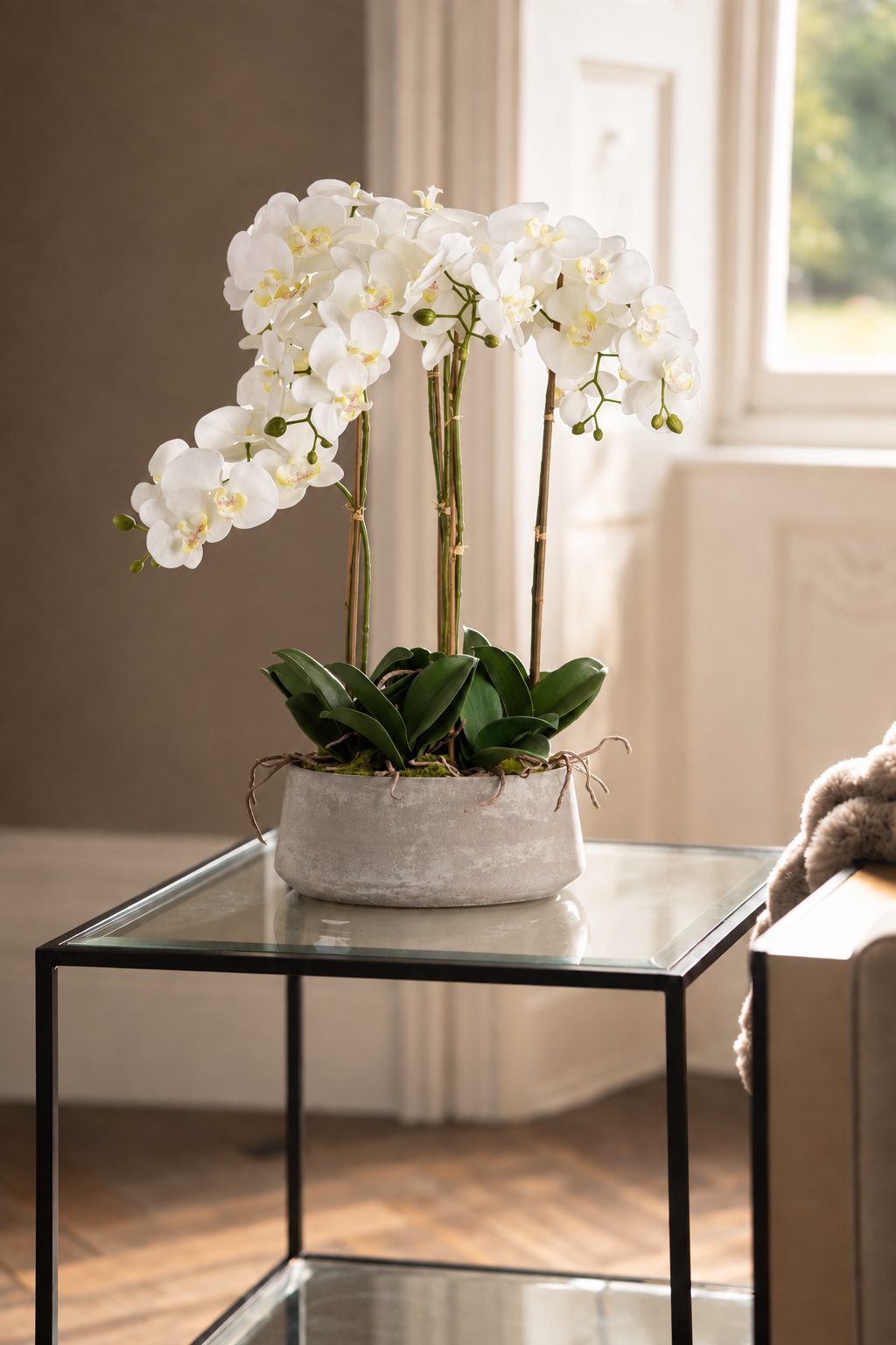 A potted white Phalaenopsis orchid arrangement with green leaves in a textured gray pot, displayed on a glass-topped side table in a softly lit room.