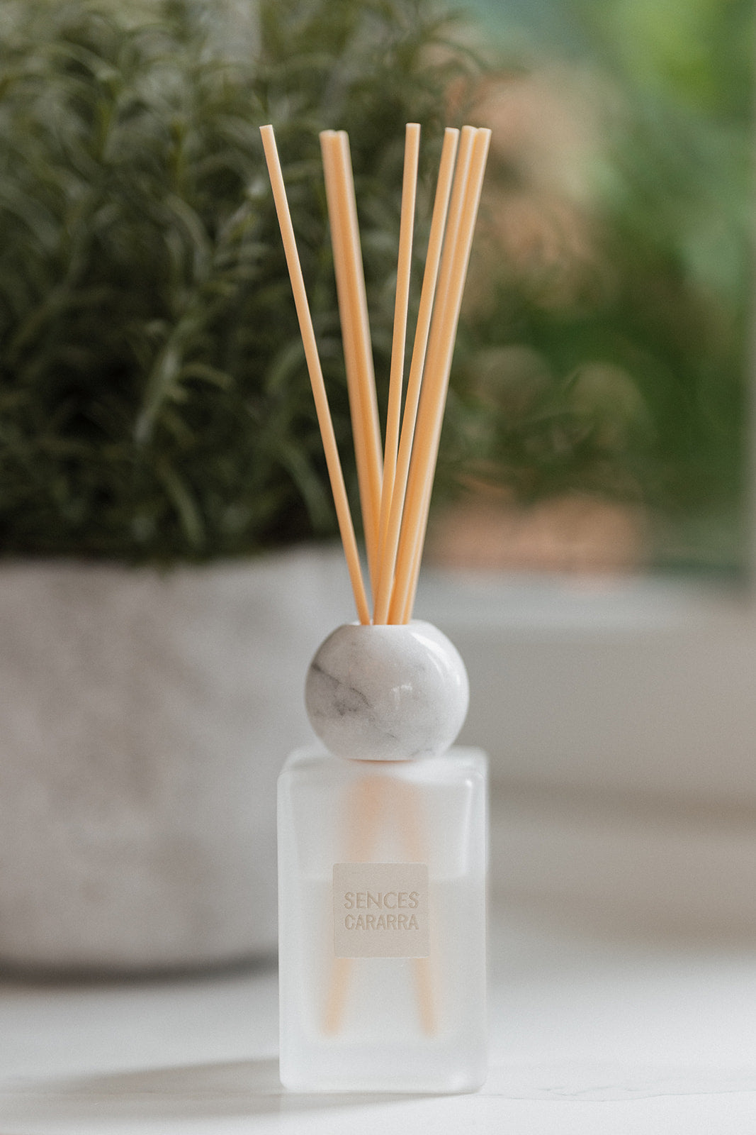 A reed diffuser bottle with a frosted glass base, a round white marble stopper, and natural bamboo reeds, set against a soft-focus background of a potted green plant.
