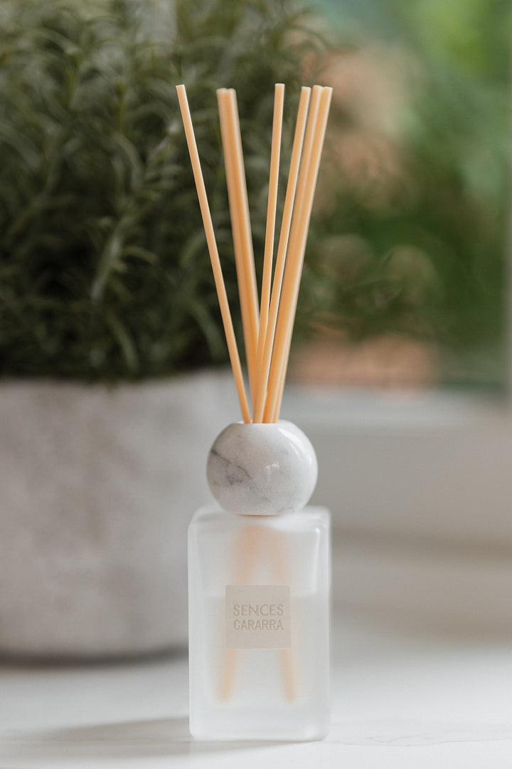A reed diffuser bottle with a frosted glass base, a round white marble stopper, and natural bamboo reeds, set against a soft-focus background of a potted green plant.