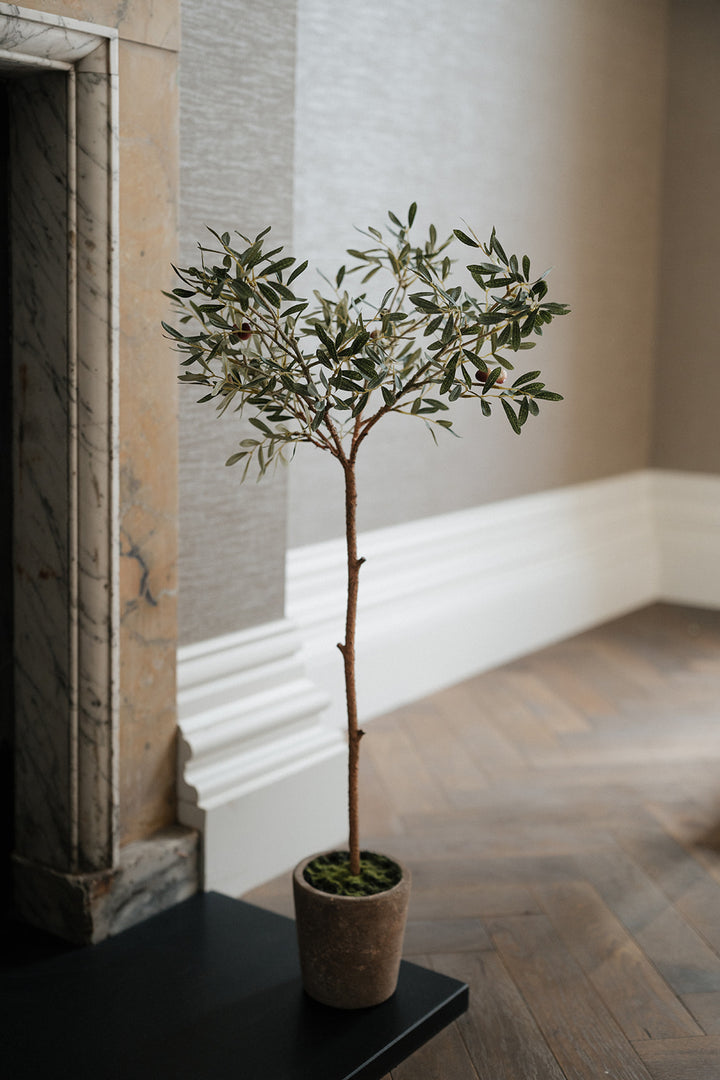 A potted olive tree with green leaves and small brown fruits, planted in a textured brown pot, set on a black table in a room with a marble fireplace and wood floors.
