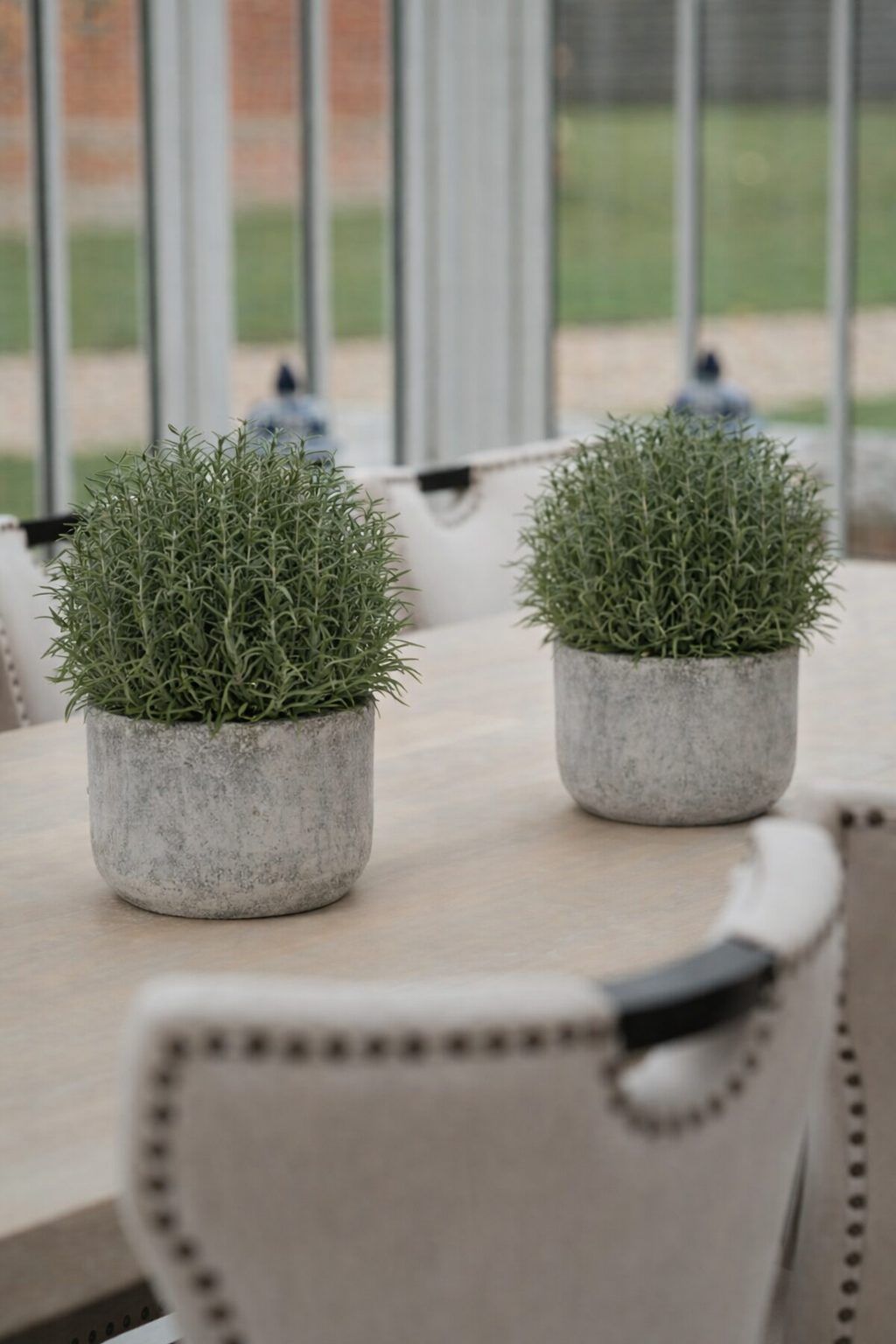 Rosemary Bush Ball in Grey Pot