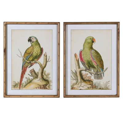 Set of 2 Parrot Pictures