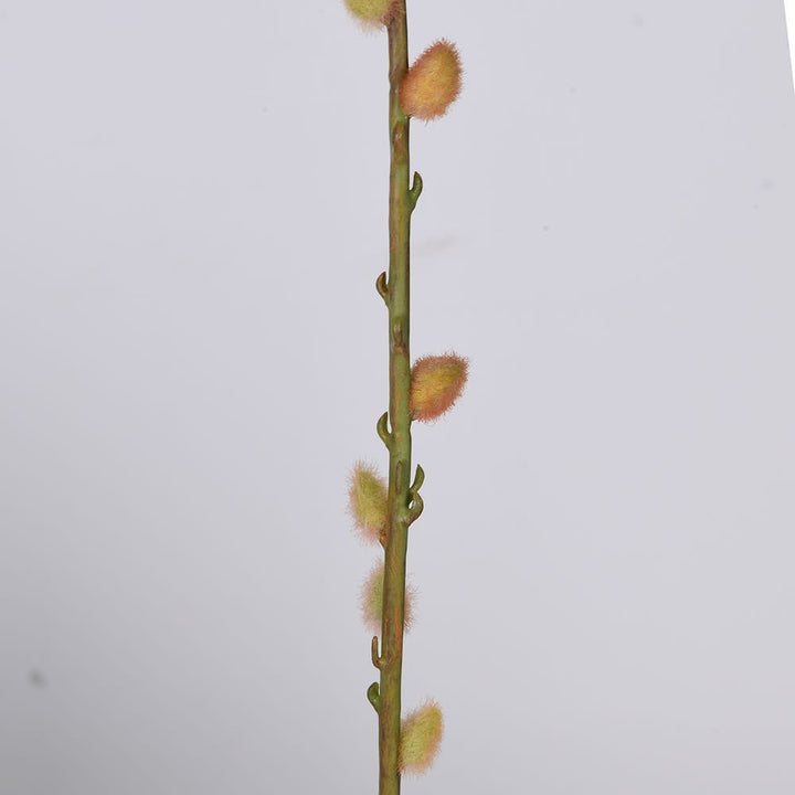 Touch of Pink Pussy Willow