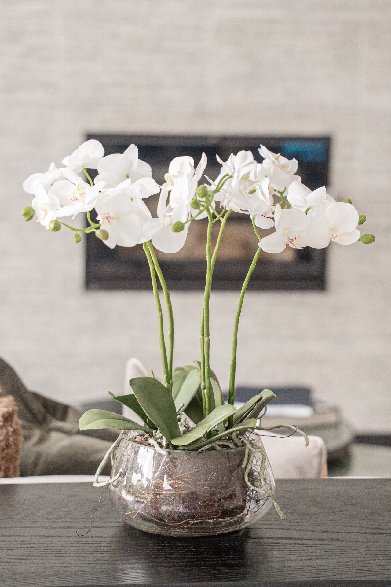 White Orchid In Glass Pot