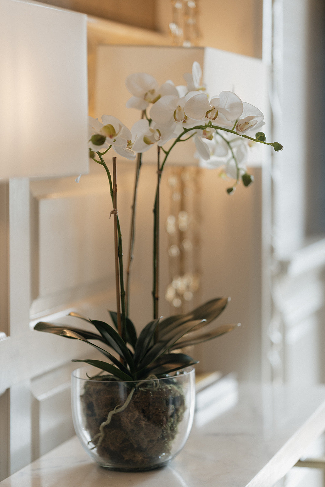 A potted white Phalaenopsis orchid with dark green leaves in a clear glass bowl, displayed on a light marble surface in a softly lit interior setting.