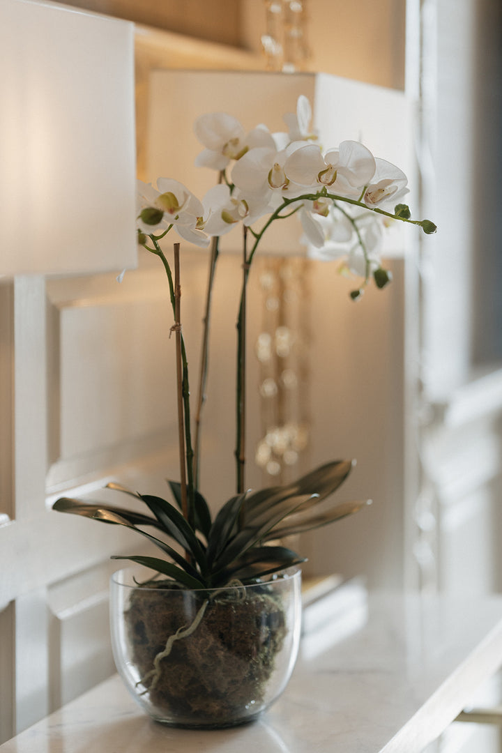 A potted white Phalaenopsis orchid with dark green leaves in a clear glass bowl, displayed on a light marble surface in a softly lit interior setting.