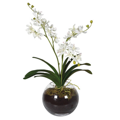 White Orchid with Moss in Glass Vase