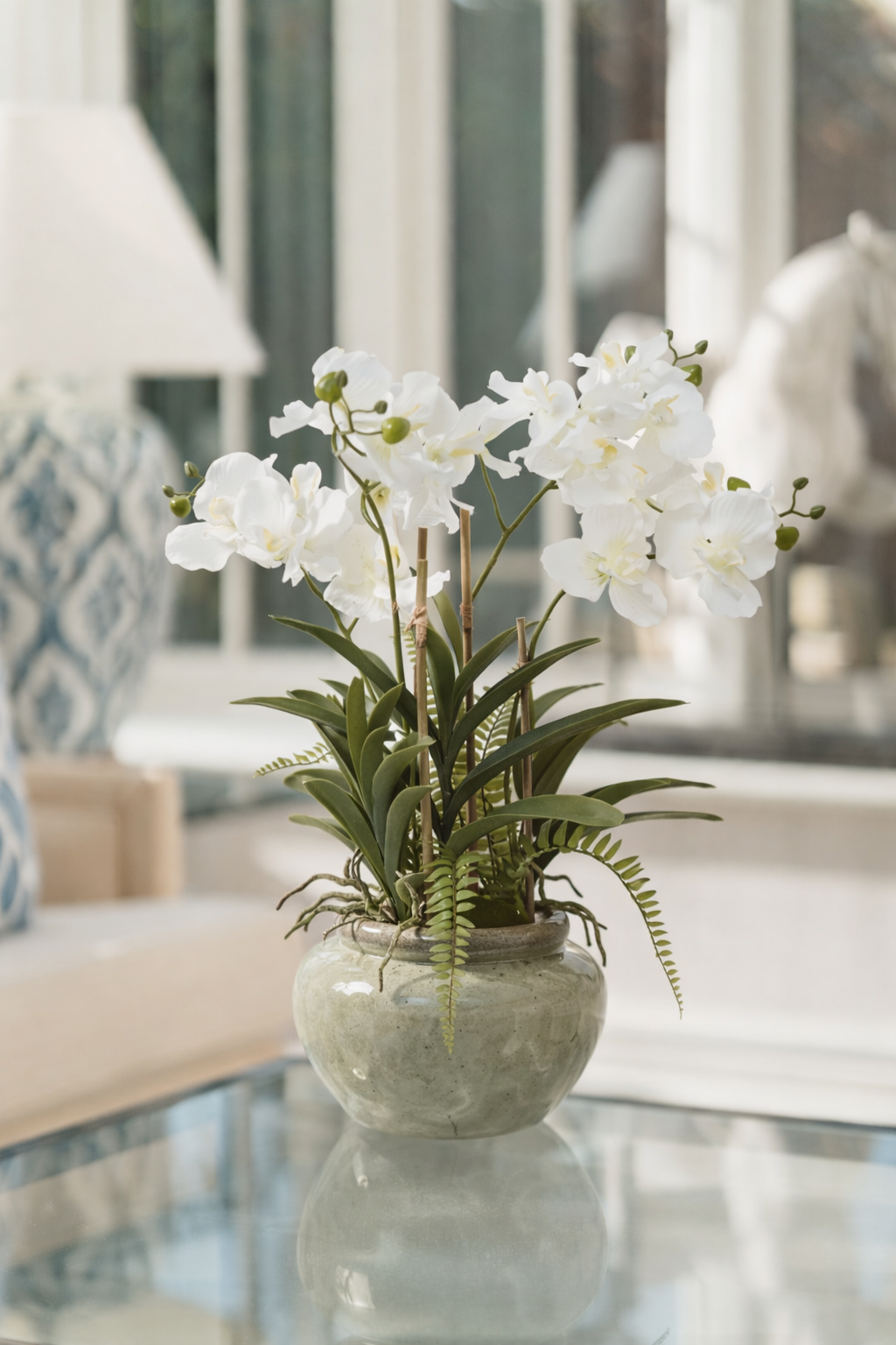 White Vanda Orchid Plant In Ceramic Pot