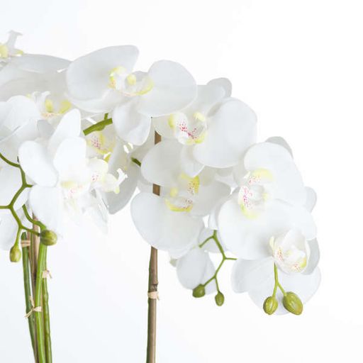 Luxury Large White Orchid In Stone Pot